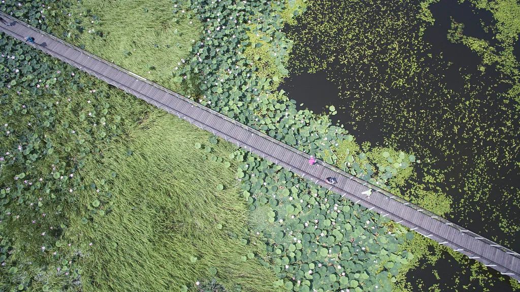 【早安·黑龙江】广州新增1例本土无症状感染者，居民连夜核酸检测休闲区蓝鸢梦想 - Www.slyday.coM