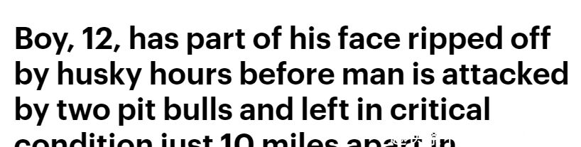 太吓人!12岁男孩遭恶犬撕咬,半张脸皮被扯下!休闲区蓝鸢梦想 - Www.slyday.coM