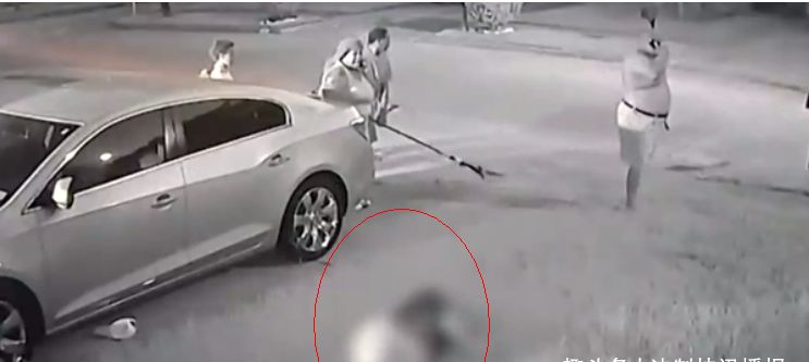 太吓人!12岁男孩遭恶犬撕咬,半张脸皮被扯下!休闲区蓝鸢梦想 - Www.slyday.coM