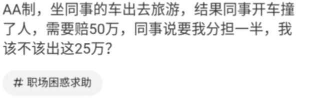 男子坐同事车出去旅游，同事开车撞人赔偿50万，同事：一人一半休闲区蓝鸢梦想 - Www.slyday.coM