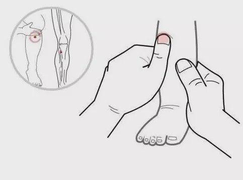 小孩体质差怎么办（小孩子体质差抵抗力差怎么办）-85模板网