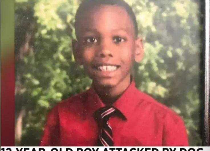 太吓人!12岁男孩遭恶犬撕咬,半张脸皮被扯下!休闲区蓝鸢梦想 - Www.slyday.coM