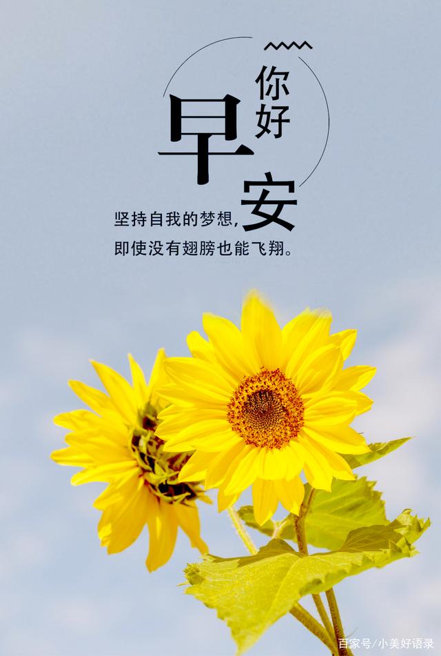 早安语录句子,发朋友圈的早安句子,发朋友圈很不错!