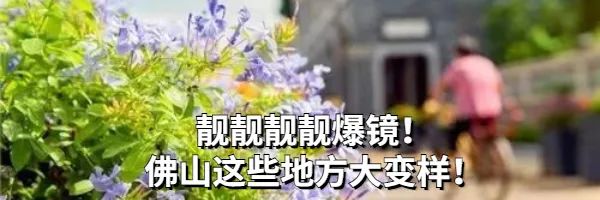 老师休息两天，周五报名爆满……“双减”后的首个周末，培训机构冷清了休闲区蓝鸢梦想 - Www.slyday.coM