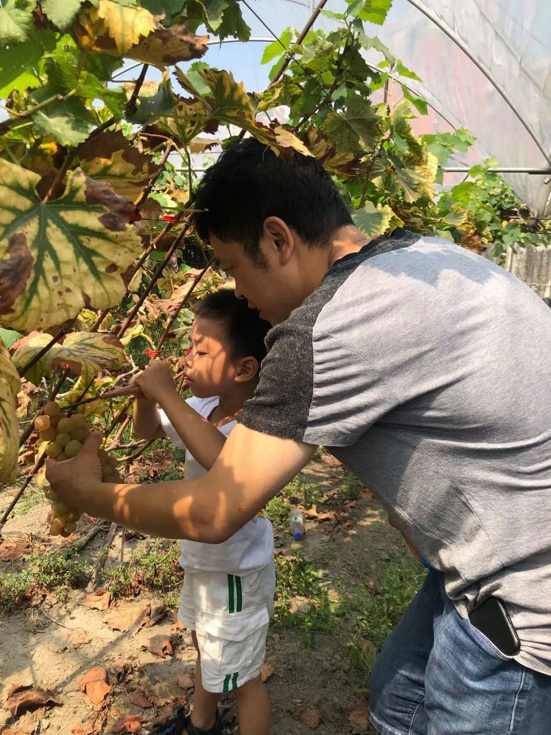 怎样培养孩子的学习兴趣（如何激发孩子的学习兴趣与潜能）-85模板网