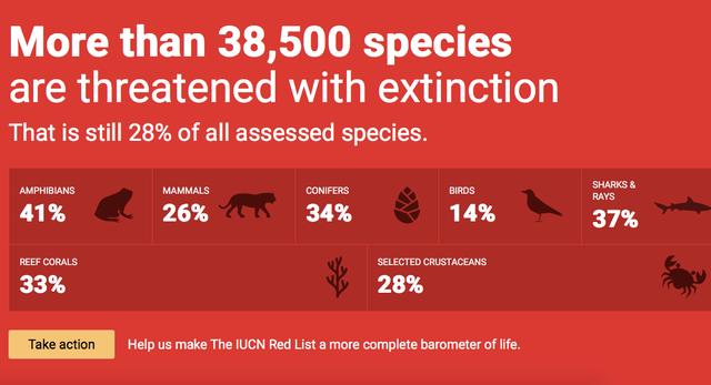 濒危物种红色名录:3.8万物种面临灭绝威胁,中华穿山甲极危