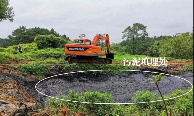 以土壤改良之名非法填埋 四川遂宁污泥处置监管严重缺失