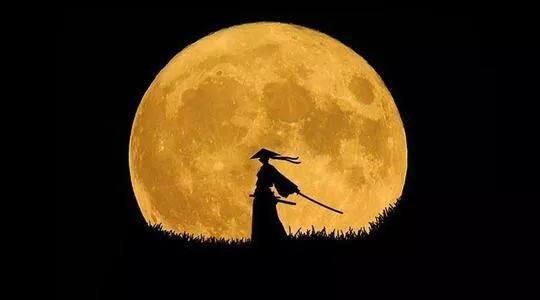 浪迹江湖,格局大了事儿就小了