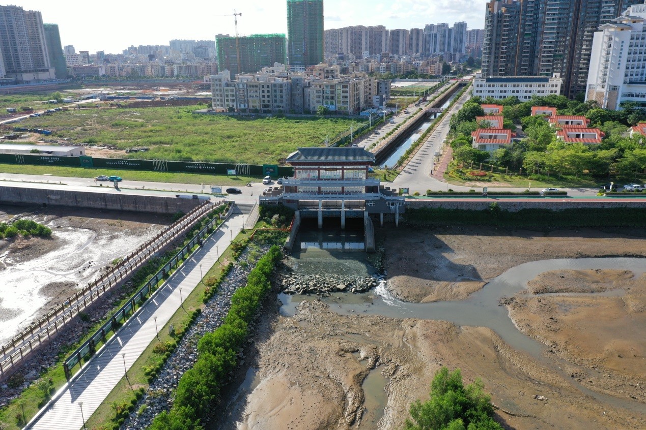 Due to the damage of the sewage pipe network, a large amount of domestic sewage was accumulated in the Sengao River in the Dianbai District, which had already been intercepted and discharged directly into Shuidong Bay.