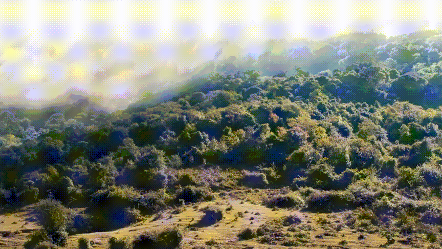 从《精绝古城》到《云南虫谷》，“鬼吹灯宇宙”成了休闲区蓝鸢梦想 - Www.slyday.coM