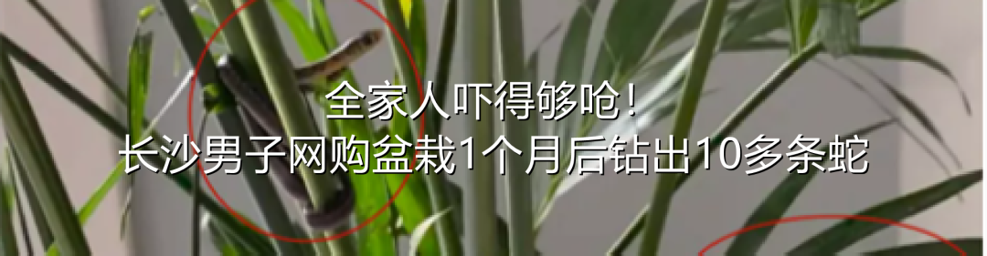 妈妈每天逼女儿跳绳3000个：长不高你自己后悔！医院报告一出，瞬间慌了休闲区蓝鸢梦想 - Www.slyday.coM