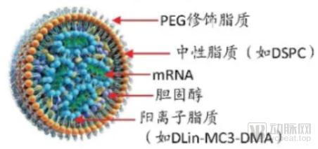 脂质体（LNP）结构示意图