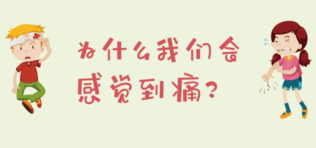 为什么我们会感觉到痛？休闲区蓝鸢梦想 - Www.slyday.coM