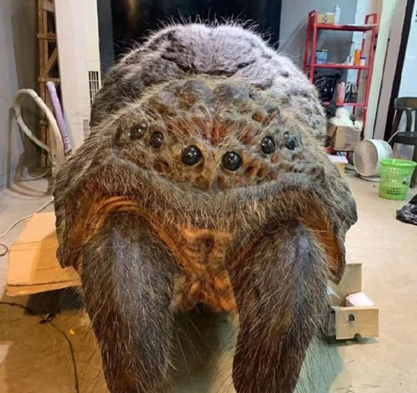 潘粤明苦战的四大怪兽,不死虫只排第二,第一名修炼出内丹