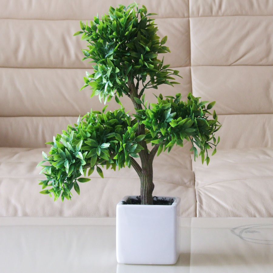 家庭养花:该怎么给土壤杀菌消毒?简易高效的手段有3种