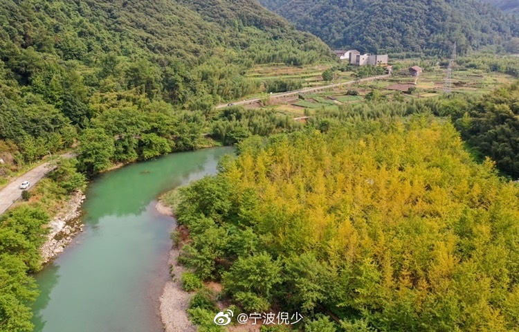 宁波章水入秋后的第一抹金黄