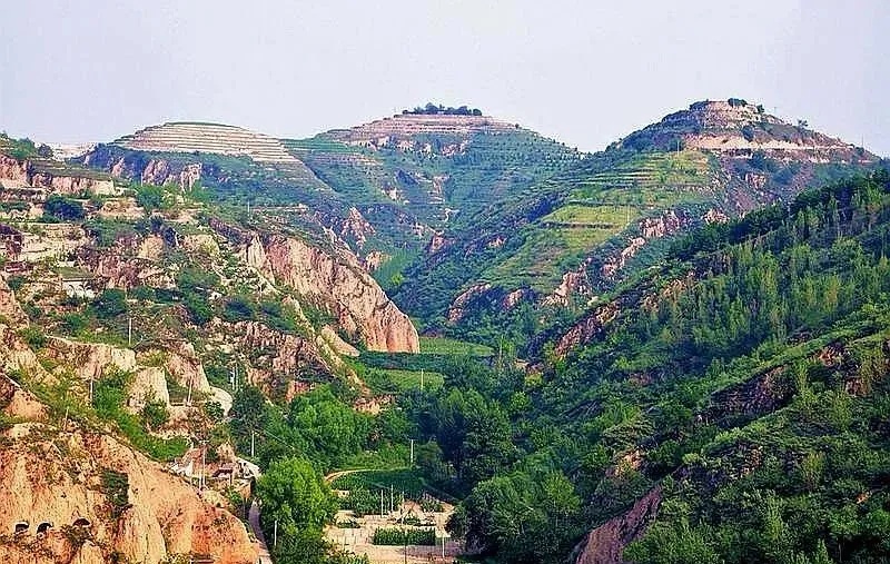 普洱美食的双面叙事:从慢火熬制到200秒出餐的文化嬗变