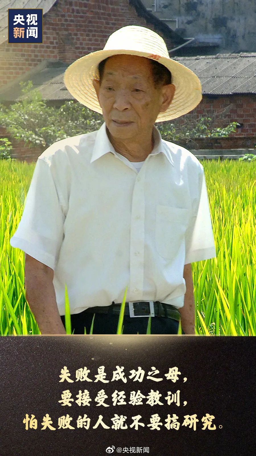 今天是袁隆平诞辰,永远怀念!