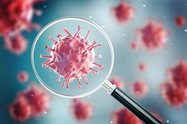 第二代新冠疫苗ReCOV或在1个半月后进入II/III期临床休闲区蓝鸢梦想 - Www.slyday.coM