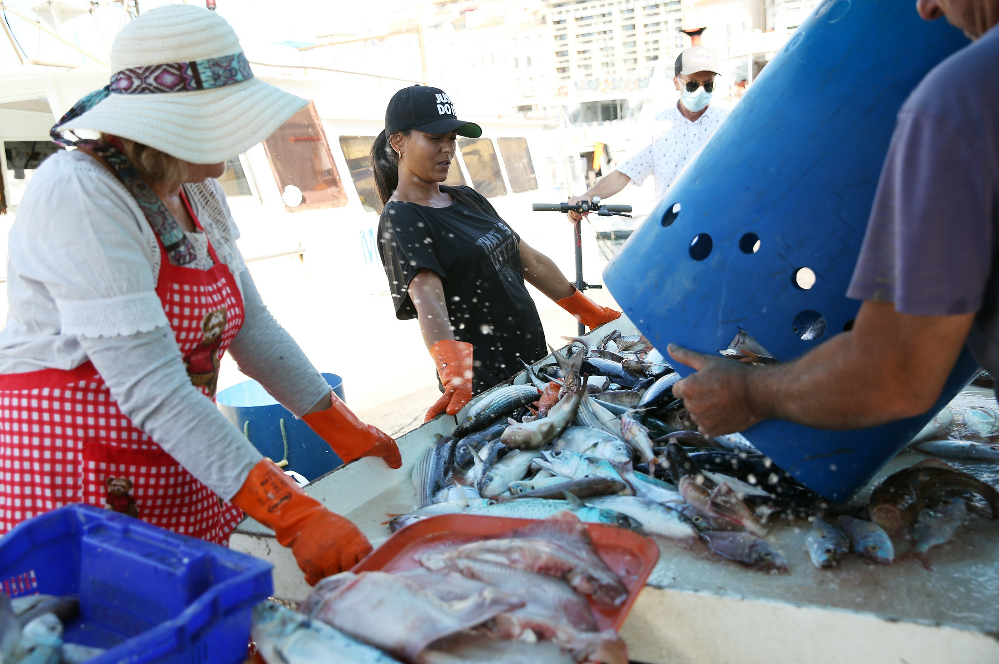 法国马赛:老港鱼市
