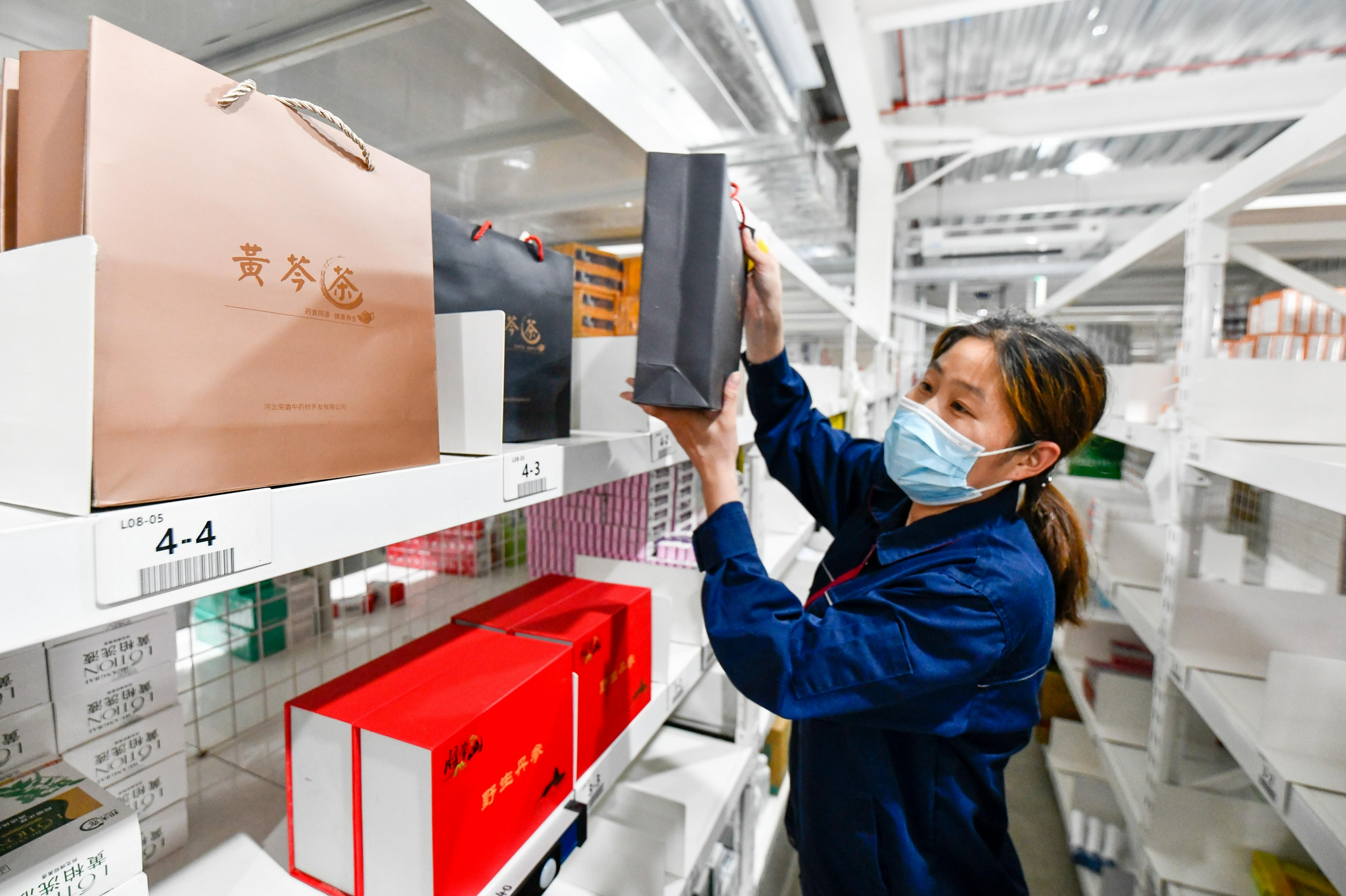 在河北省唐山市丰润区的中草药加工企业,工作人员正在分拣中药制品.