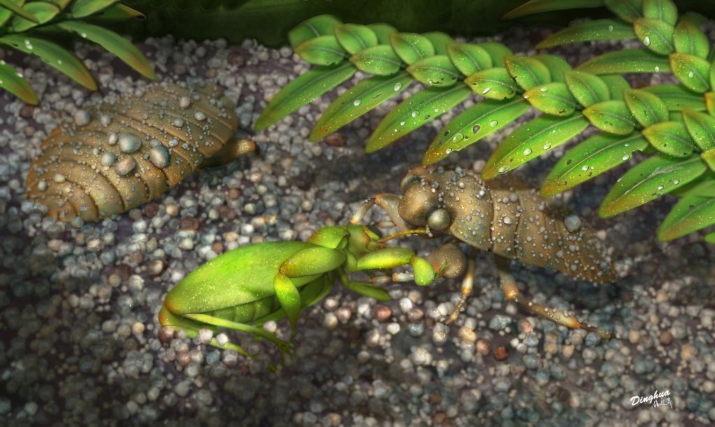 王氏拟叶蚤蝼和半翅目蟾蝽科昆虫的生态复原图。（杨定华绘制，中科院南古所供图）