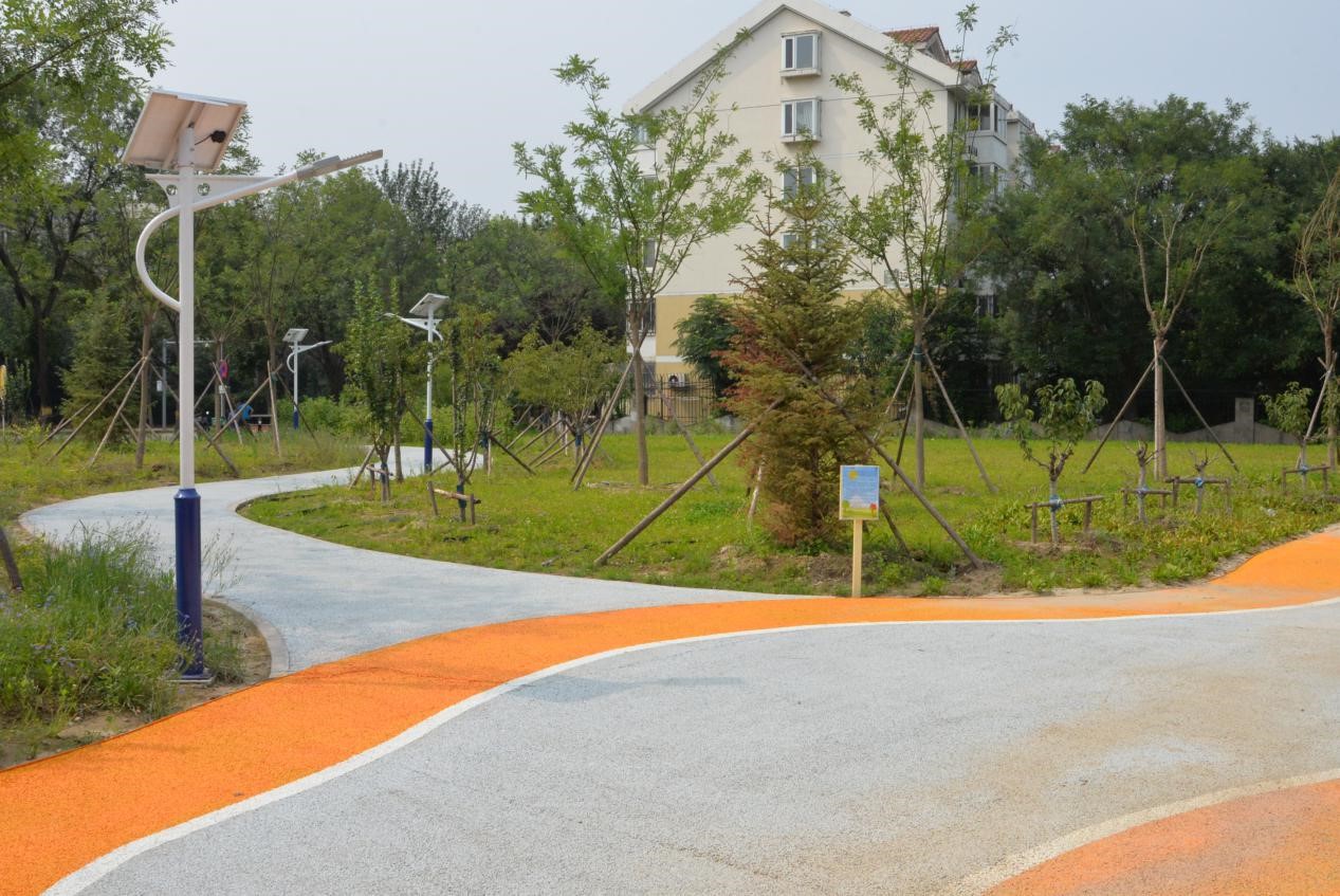 龙泽园街边添景观小品,昔日违建变花园