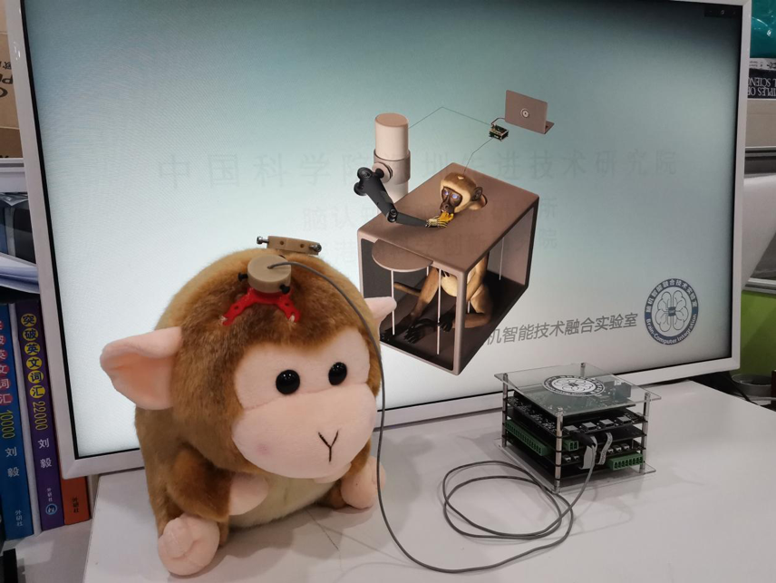 猕猴上肢运动脑机接口模型和实验演示。