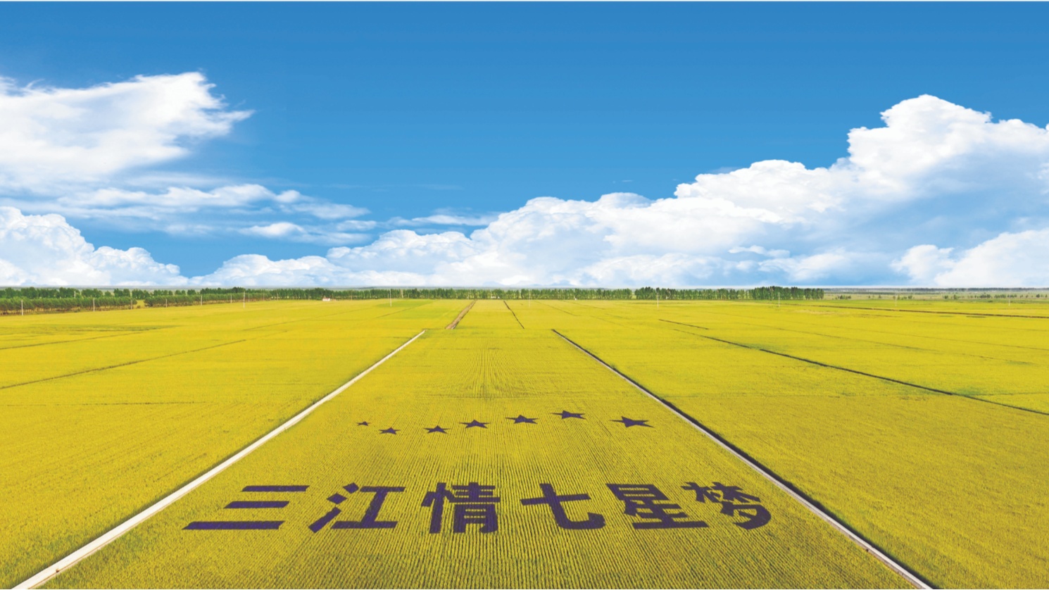 佳木斯七星农场.