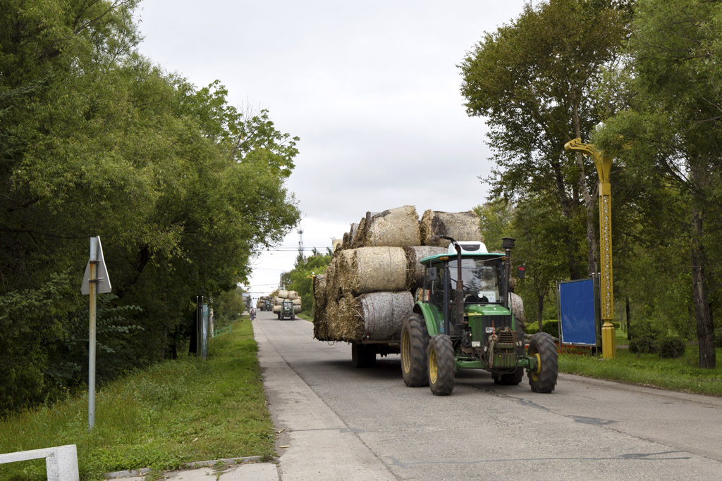 时隔五十年再次来到曾挥洒过青春汗水的黑土地二龙山农场
