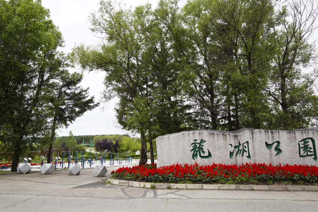 时隔五十年再次来到曾挥洒过青春汗水的黑土地二龙山农场