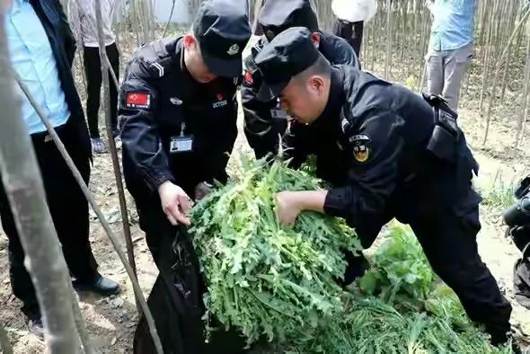 男子吃凉皮上瘾，报警后还真查出问题！休闲区蓝鸢梦想 - Www.slyday.coM