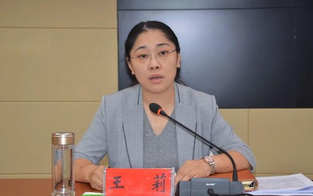 县委常委,纪委书记,监委主任,县委巡察工作领导小组常务副组长王莉