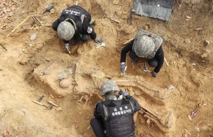 参与中国人民志愿军烈士遗骸挖掘,韩国小伙讲述背后不为人知的故事