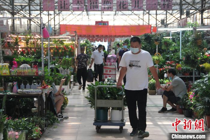 图为郑州陈砦花卉市场内的过道里人来人往。李明明 摄