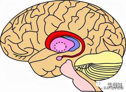 央视网称“长期沉迷网游改变孩子大脑结构”,我翻阅相关研究报告休闲区蓝鸢梦想 - Www.slyday.coM 央视网称“长期沉迷网游改变孩子大脑结构”,我翻阅相关研究报告休闲区蓝鸢梦想 - Www.slyday.coM