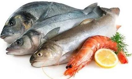 减重不能吃肉动物性食物可是蛋白质的良好食物来源