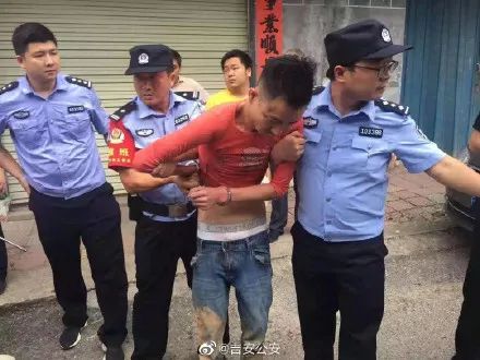 “皮箱藏尸案”犯罪嫌疑人已抓获！休闲区蓝鸢梦想 - Www.slyday.coM