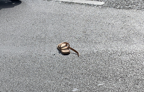 贵阳今早发生一起车祸，八旬老人不幸当场被撞身亡，疑当时正横穿马路休闲区蓝鸢梦想 - Www.slyday.coM