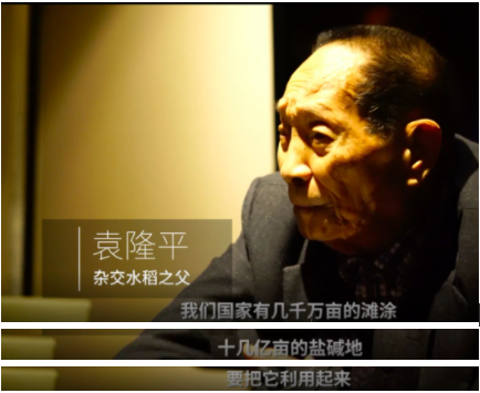 袁隆平儿子接棒延续两代的袁梦计划你也可以助力