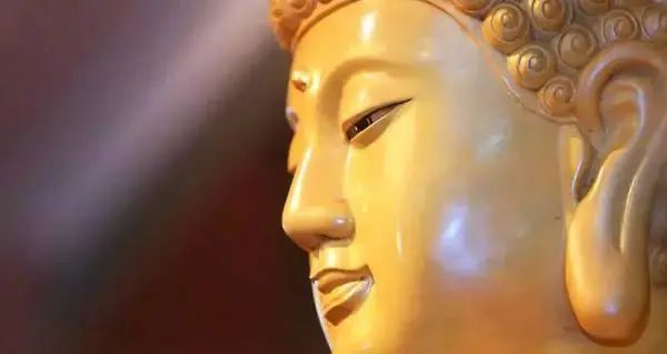 "佛耳"顾名思义就是像佛陀的耳朵,具体表现为肉厚,耳垂长,耳珠厚圆.