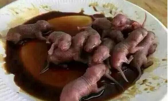 211高校现阴间食堂菜品走红各高校奇葩菜品盘点不容错过