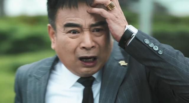 扫黑风暴刚结局又一刑侦剧新鲜出炉看到阵容果断弃剧