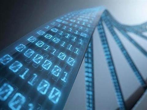 FIL头部矿商“人人矿场”高管21人被警方带