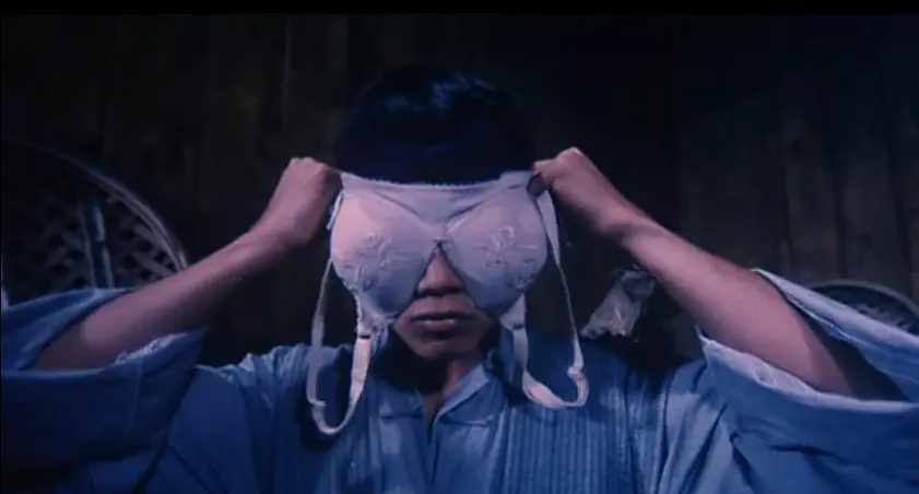 林正英的最好看的僵尸片常威也很搞笑