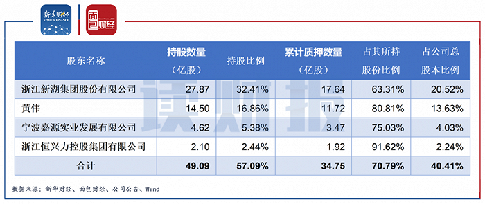 图5：新湖中宝大股东质押股份情况