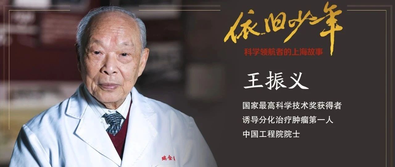 王振义:我愿做一株清贫的牡丹|科学领航者的上海故事