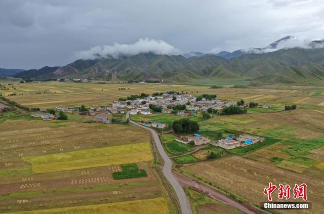 9月8日,西藏自治区拉萨市林周县境内的田野美景.
