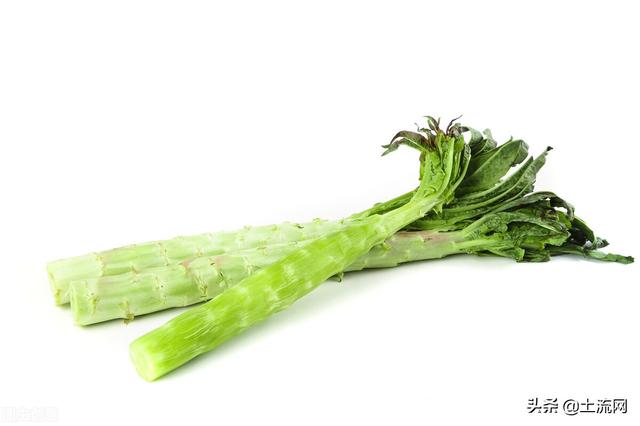 秋天种什么蔬菜合适推荐种植这5种美味的蔬菜