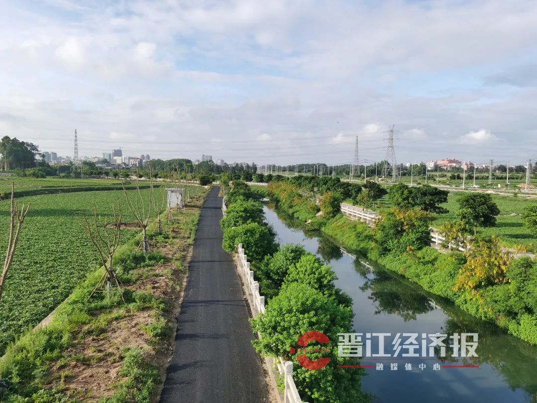 白鹭|晋江|英林镇_新浪新闻